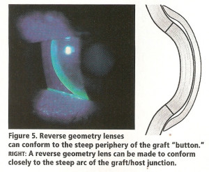 dicembre2002-pag30-fig5